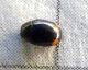 P1020201-Ridim.JPG