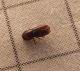 P1030015-Ridim.JPG