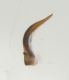 Experiment-3531-Extended Depth of Focus-02.jpg