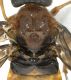 Experiment-3566-Extended Depth of Focus-04.jpg