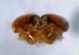 DSC03766.JPG
