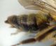 DSC04117.JPG