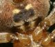 DSC00443-a.jpg