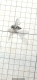 IMG_8724.PNG