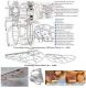 - - - - - - - - - - ICHNEUMONIDAE Terminologie.jpg