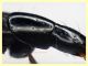 Quedius molochinus - 11 mm. - trappola aceto - 11.6.2025 - (8).JPG