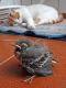 DSC05474.JPG