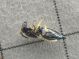 P1070130-Ridim.JPG