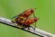 DSC_7673.jpg