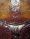 DSC04322.JPG