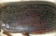 DSC04348.JPG