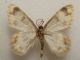 DSC04364.JPG