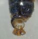 DSC04437.JPG