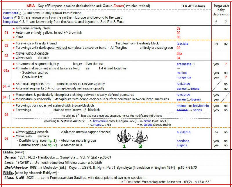ABIA Anglais - Clé (Version revised) au                 - Image.jpg