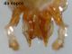 DSC04543.JPG