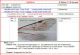 XORIDINAE - Key of Genera & sub-Genera+ fig..jpg