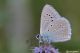 DSC_7817.jpg