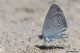 DSC_6970.jpg
