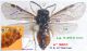 n° 5001 F (dorsal) - Images légendées - Image.jpg