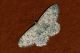 DSC_7192.jpg