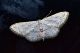 DSC_7184.jpg