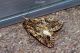 DSC_7287+7288-2.jpg
