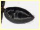 Dipogon variegatus femmina (173) sterniti.JPG