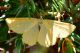 DSC_8961_1024px_cmp.jpg
