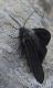 DSC04922 ridotta.jpg
