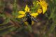 DSCN9952.JPG