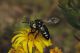 DSCN9953.JPG