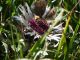 DSCN0064_800x600.JPG
