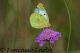 Immagine-079.jpg