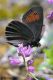 DSC_6820.jpg
