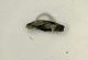 Cryptocephalus01b monteveglio.JPG
