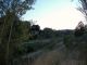 100_0678.JPG