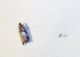 100_0693.JPG
