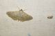 100_0714.JPG