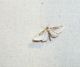 100_0725.JPG