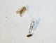 100_0732.JPG