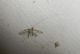 100_0744.JPG