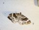 100_0766.JPG