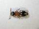 DSCN5427.JPG