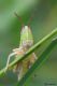 DSC_6357n.jpg