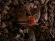 DSCN5519.JPG