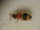 DSCN5527.JPG