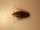 DSCN5537.JPG