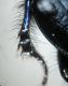 DSCN5242-3.jpg