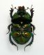DSCN5232-2.jpg