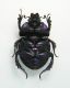DSCN5223-2.jpg